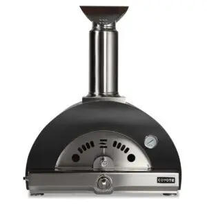 Black and silver handheld fabric steamer with a wide base.